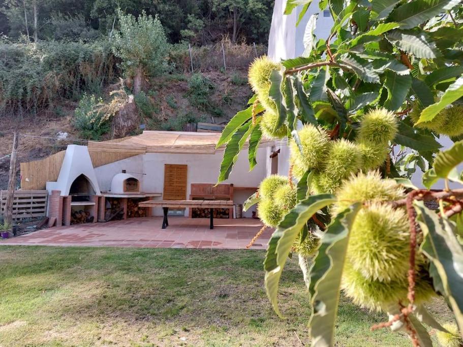 주츠카르 Casa Barranco 빌라 외부 사진